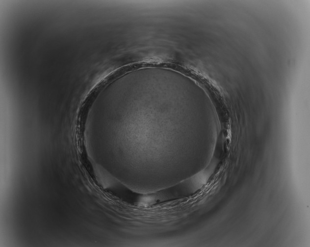 X0000097831256200803201451