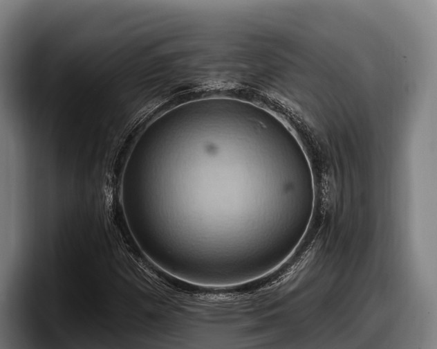 X0000097831257200803201451