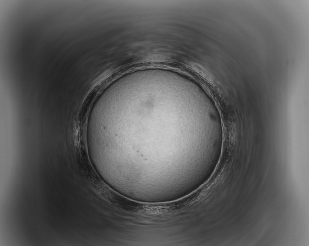 X0000097831258200803201451