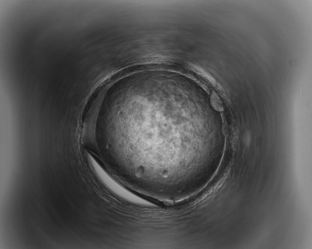 X0000097831259200803201451