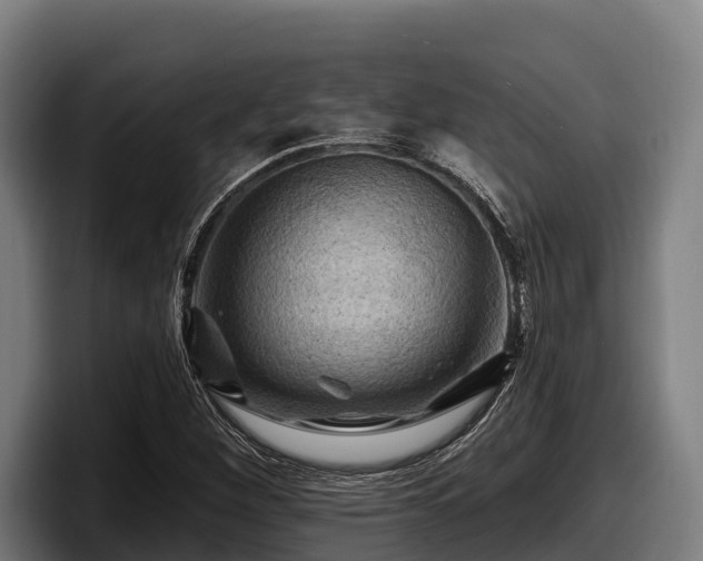 X0000097831260200803201451