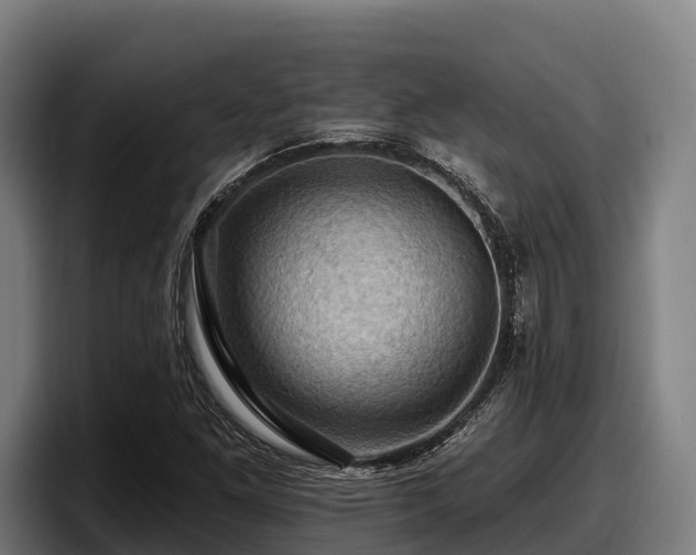 X0000097831261200803201451