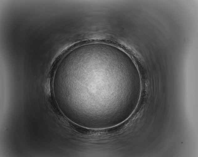 X0000097831262200803201451