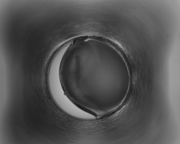 X0000097831263200803201451