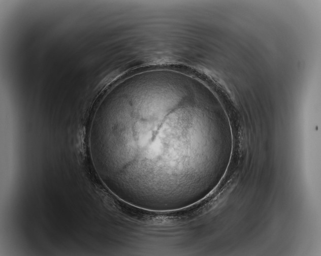 X0000097831265200803201451