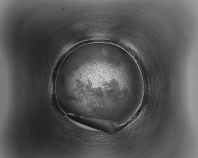 X0000097831267200803201451