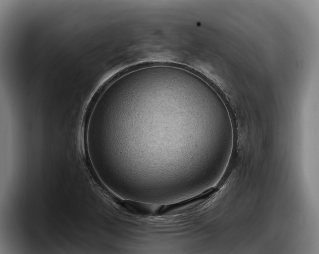 X0000097831272200803201450