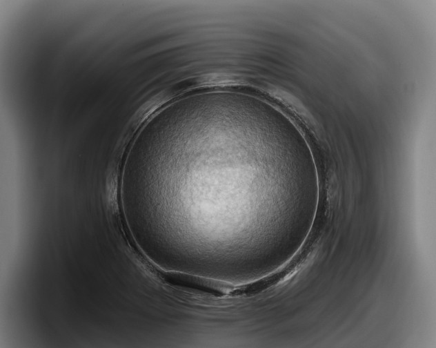 X0000097831273200803201450