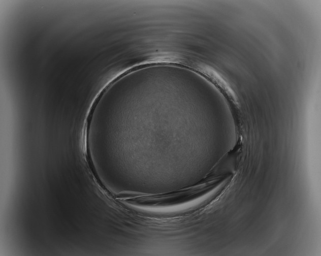 X0000097831276200803201450