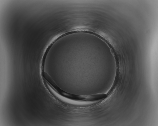 X0000097831277200803201450