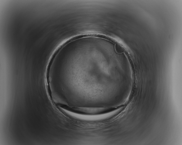 X0000097831279200803201450