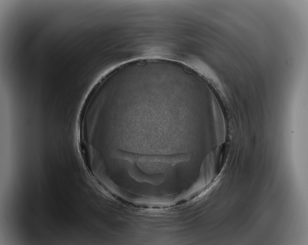 X0000097831280200803201450