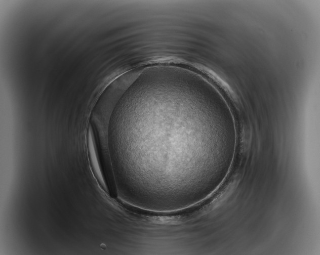 X0000097831281200803201450