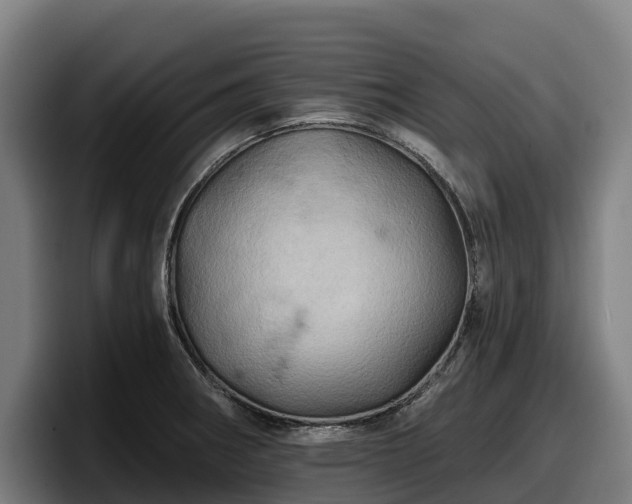 X0000097831282200803201450
