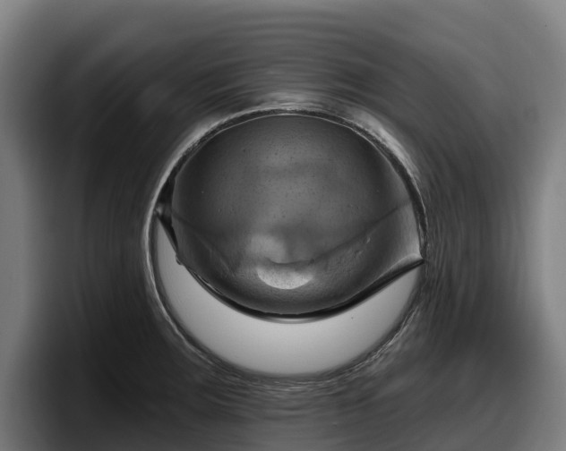 X0000097831283200803201450