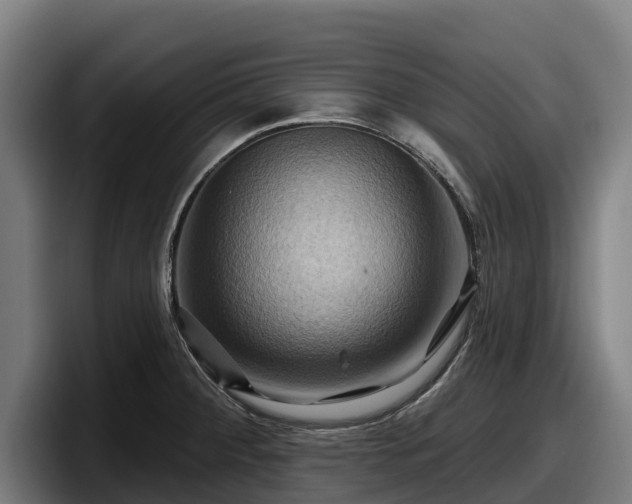 X0000097831284200803201450