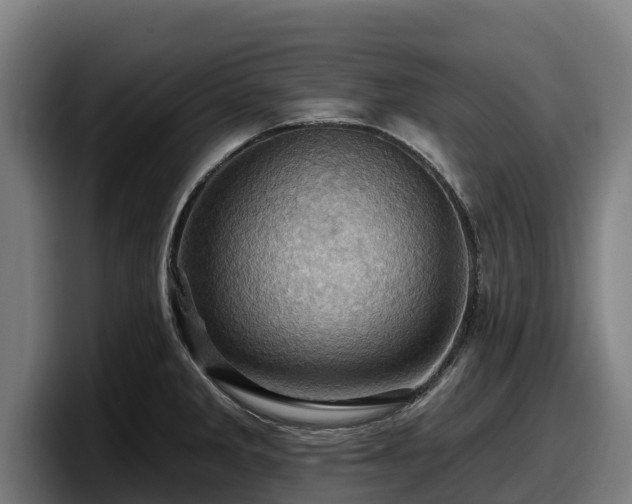 X0000097831285200803201450