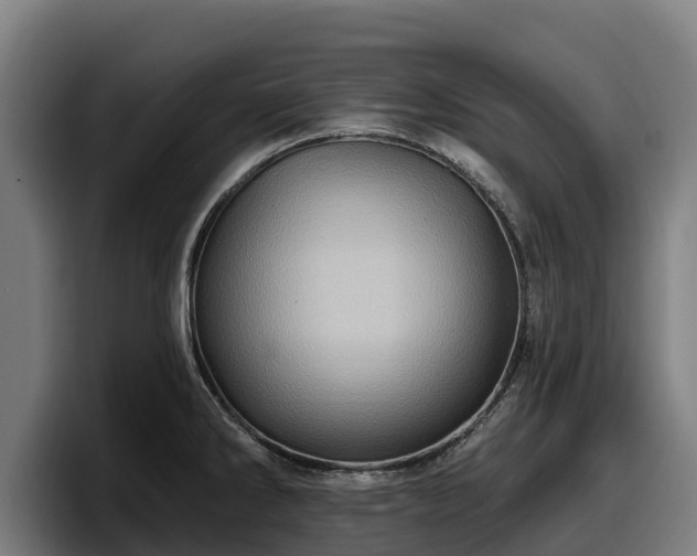 X0000097831286200803201450
