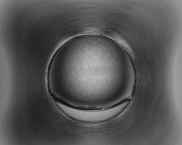 X0000097831288200803201450