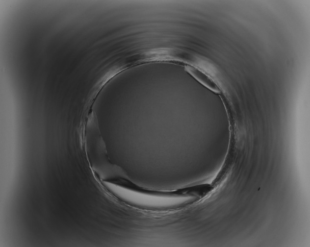 X0000097831289200803201450