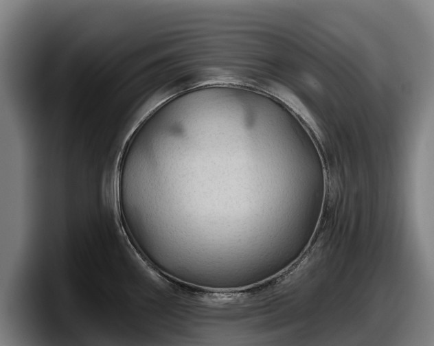 X0000097831290200803201450