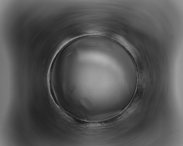 X0000097831291200803201450