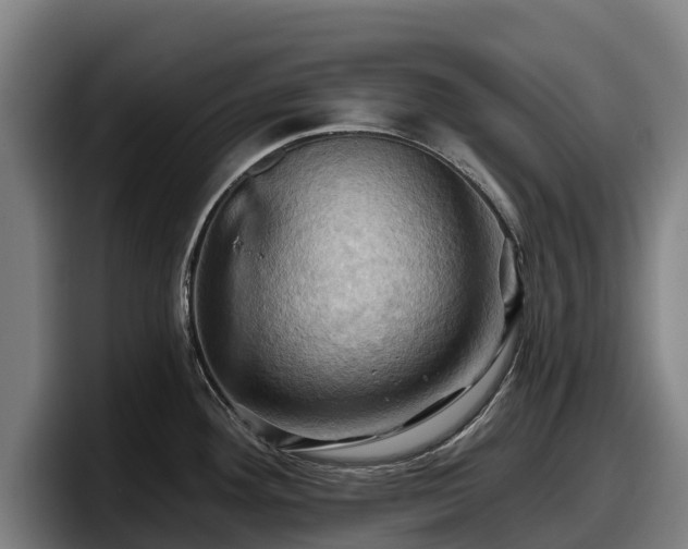 X0000097831292200803201450
