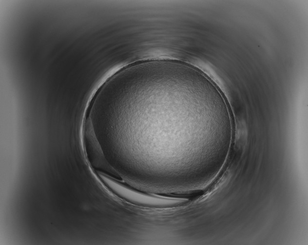 X0000097831293200803201450