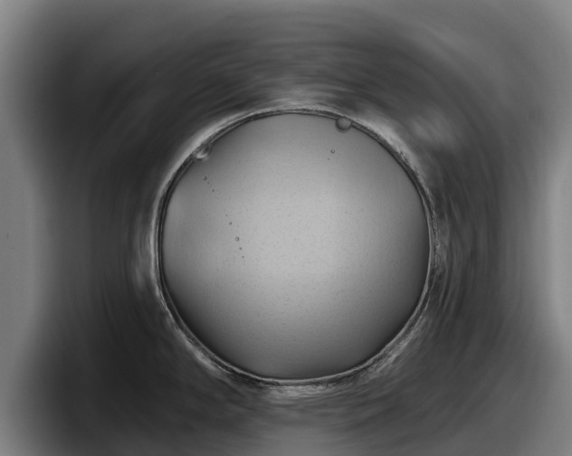 X0000097831294200803201450