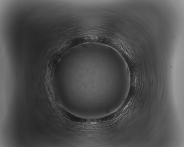 X0000097831297200803201449