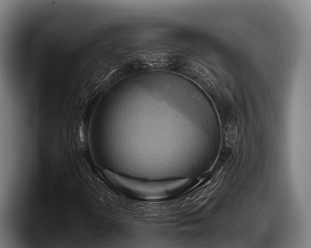 X0000097831298200803201449