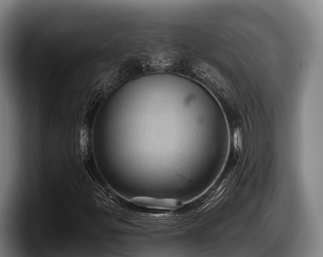 X0000097831299200803201449