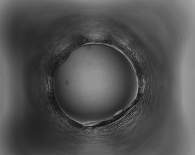 X0000097831301200803201449
