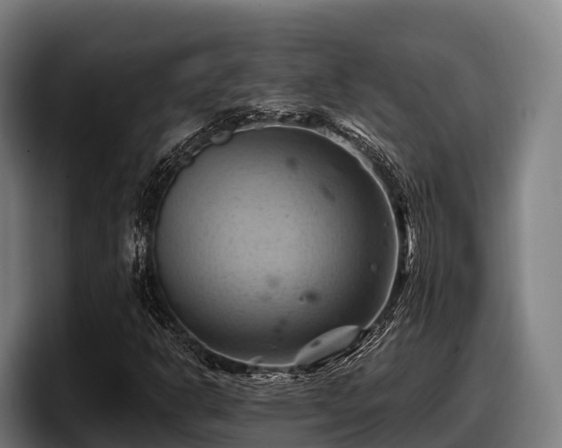 X0000097831302200803201449