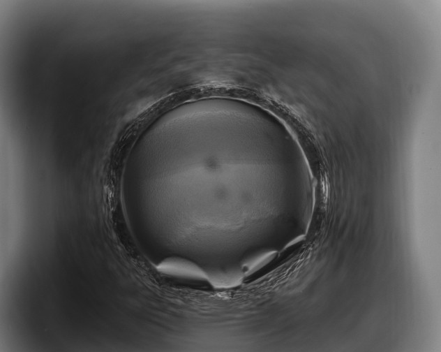 X0000097831303200803201449