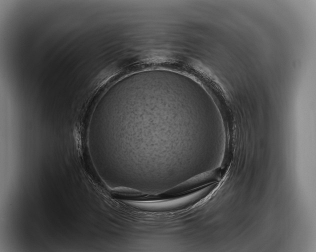 X0000097831305200803201449