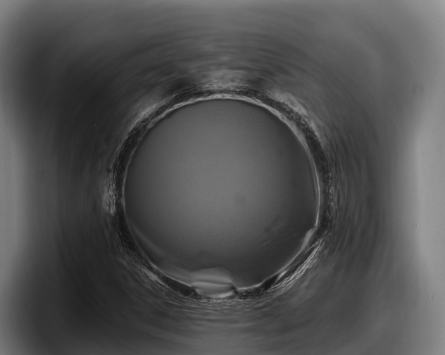 X0000097831306200803201449