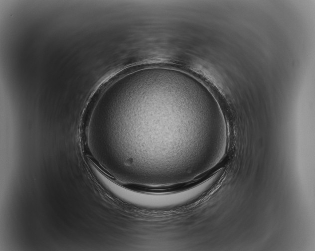 X0000097831308200803201449
