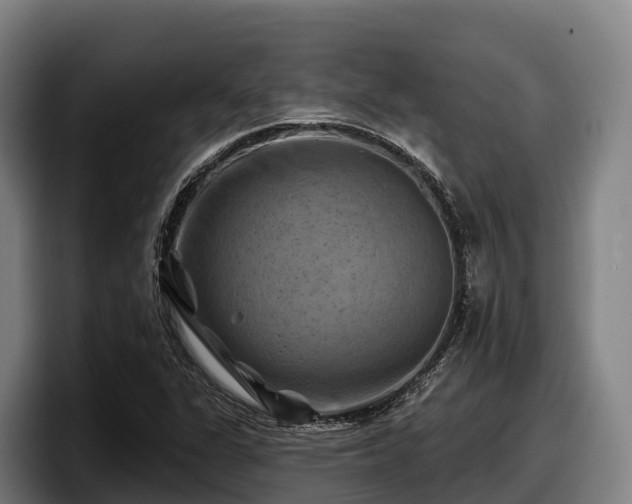X0000097831311200803201450