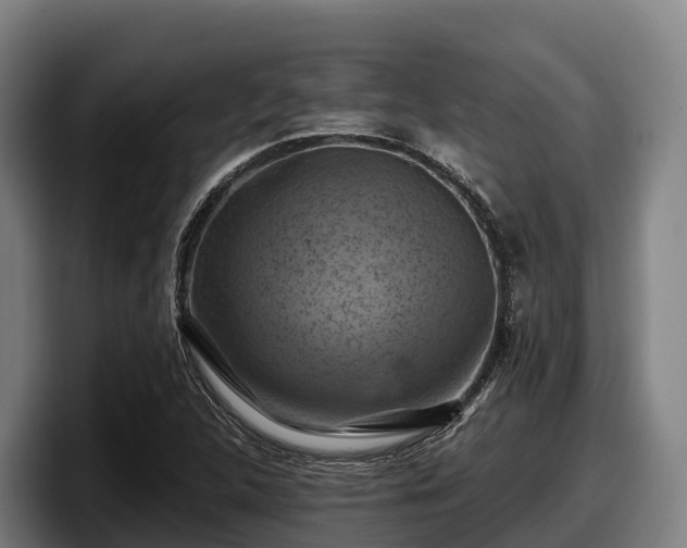 X0000097831312200803201450