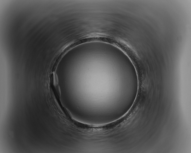 X0000097831313200803201450