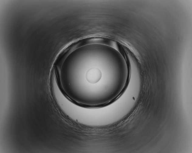 X0000097831316200803201450