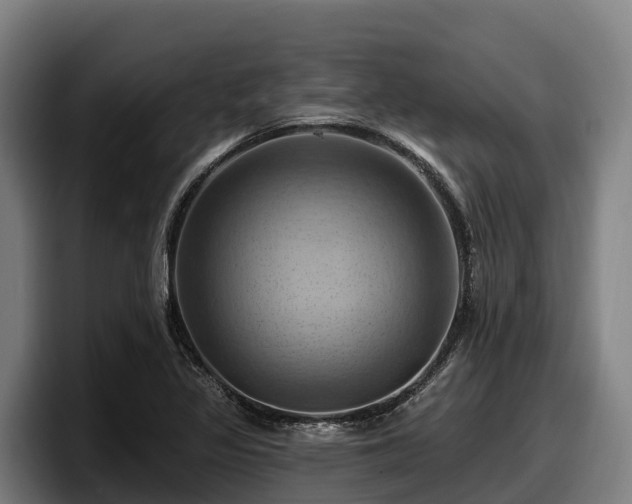 X0000097831317200803201450