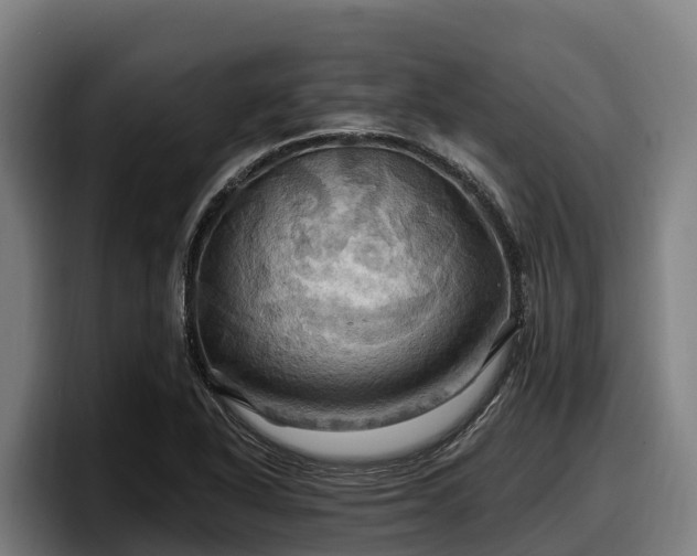 X0000097831318200803201450