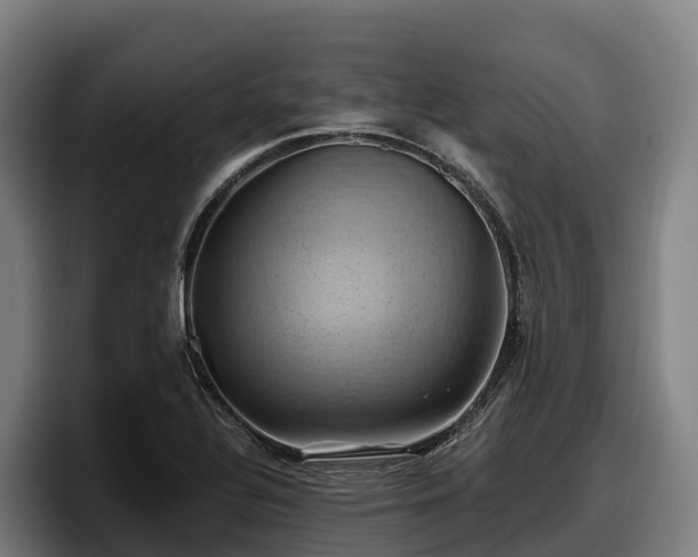 X0000097831320200803201450