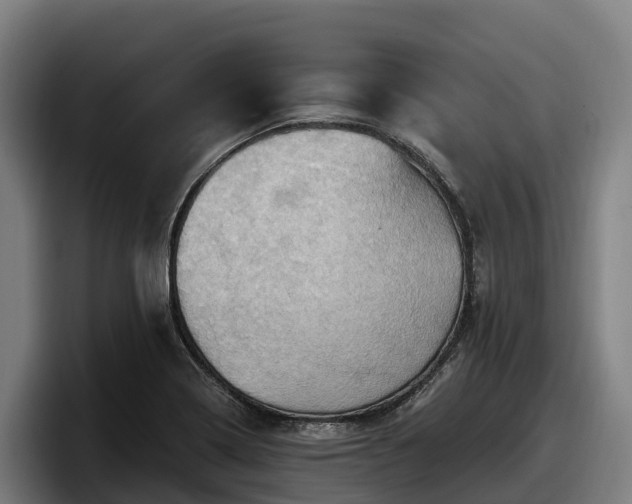 X0000097831322200803201450