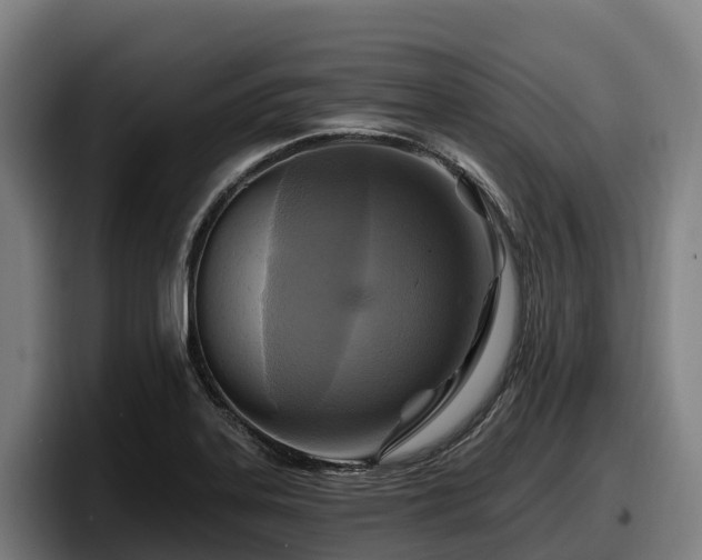 X0000097831323200803201450