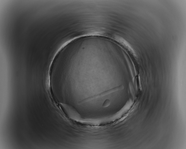 X0000097831324200803201450