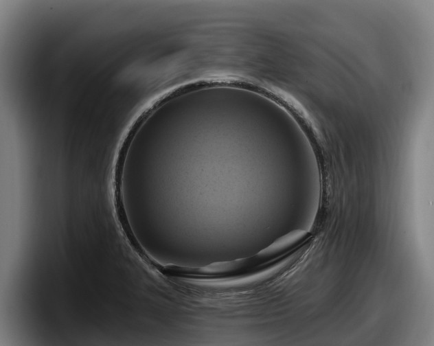 X0000097831327200803201450