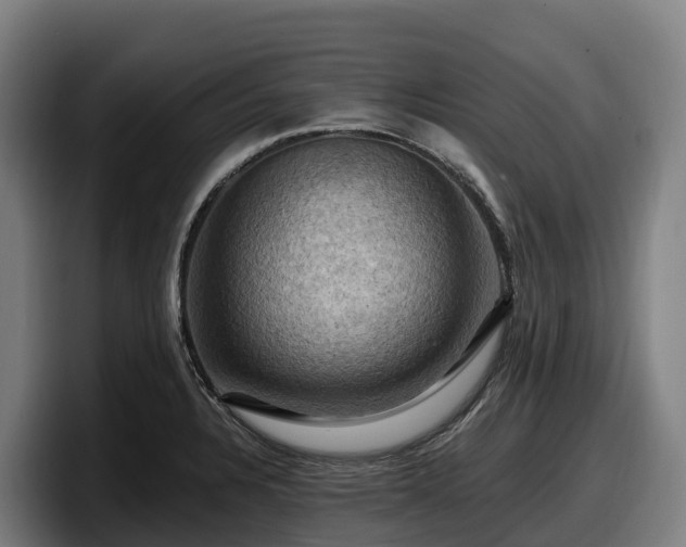 X0000097831328200803201450